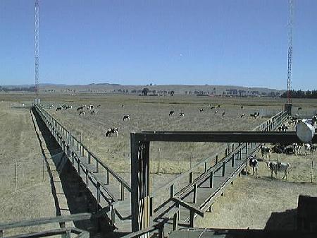 KCBS Transmitter Catwalks